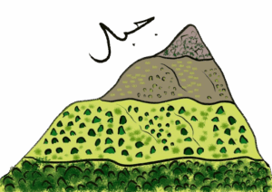 Plants of Lebanon Logo