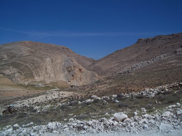 Important Plant Areas in Lebanon photo 1