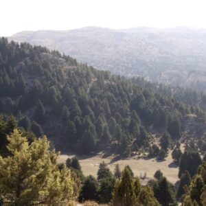 Important Plant Areas in Lebanon