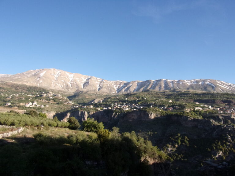 Important Plant Areas in Lebanon photo 5