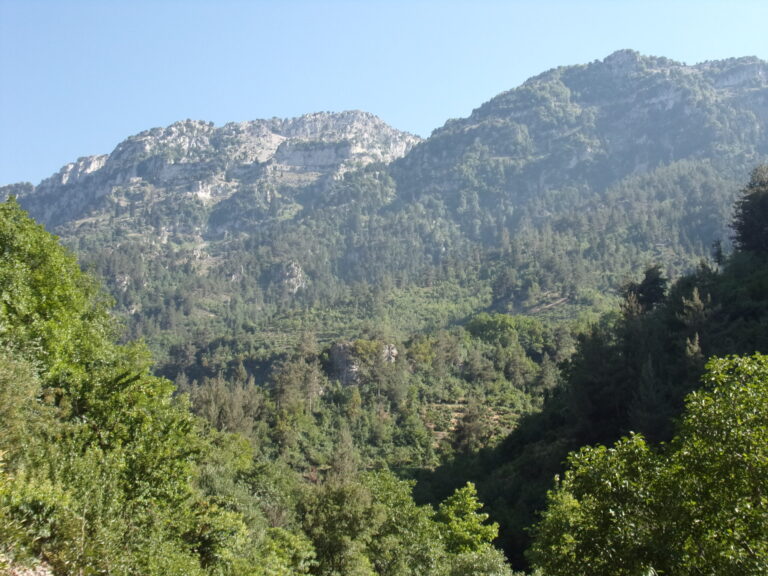 Important Plant Areas in Lebanon photo 2