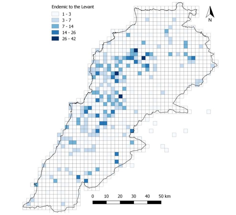 Setting conservation priorities for Lebanese flora—Identification of important plant areas photo 1