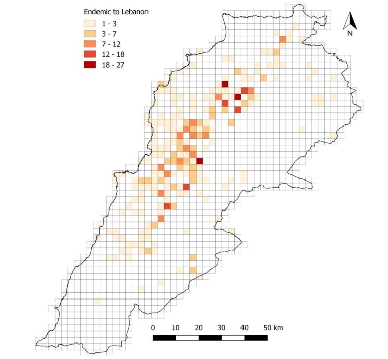 Setting conservation priorities for Lebanese flora—Identification of important plant areas photo 2