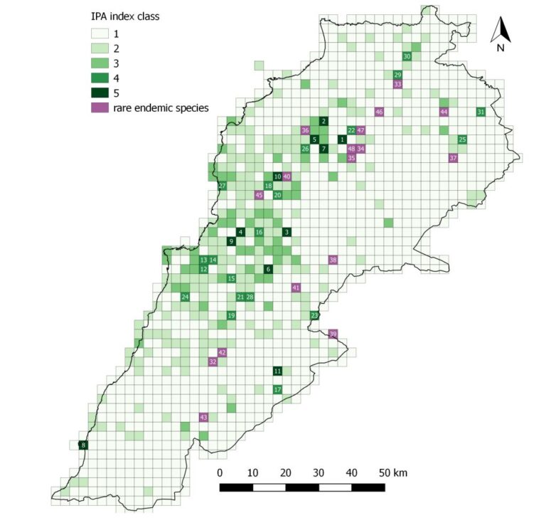 Setting conservation priorities for Lebanese flora—Identification of important plant areas photo 3