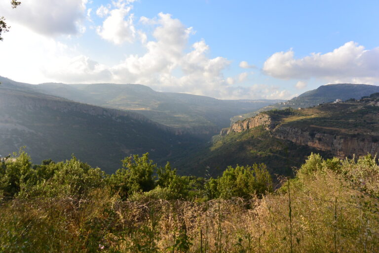 Important Plant Areas in Lebanon photo 6